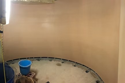 Expert curved wall plastering demonstrating craftsmanship